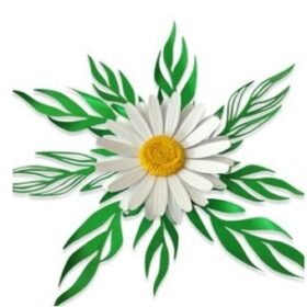 Molde Flor Margarida + Folhagem