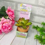 Kit Mimos - Dia das Mães 2023 - Imagem 23