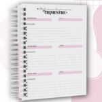 Combo Cadernetas da Gestante - Imagem 12