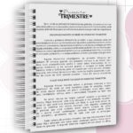 Combo Cadernetas da Gestante - Imagem 13