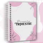 Combo Cadernetas da Gestante - Imagem 7