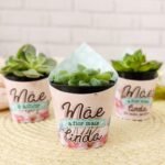 Coletiva Mimos + Catálogo - Dia das Mães - Imagem 2