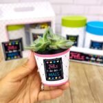 Coletiva MãeWare - Imagem 7