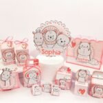 Safari - Coletivas Festa Pronta - Imagem 22