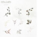 Kit Digital Jardim: As flores do Imaculado Coração de Maria - Imagem 9