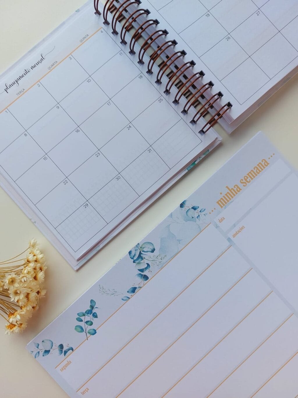 Combo Planner Clean 2024 - Imagem 12