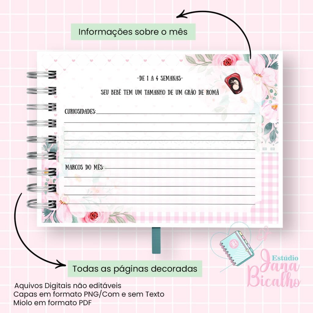 4 Kits Maternidade – Moana | Boneca | Patrulha Canina - Imagem 9