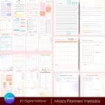 Kit Miolos Planners Variados - Editáveis no Canva