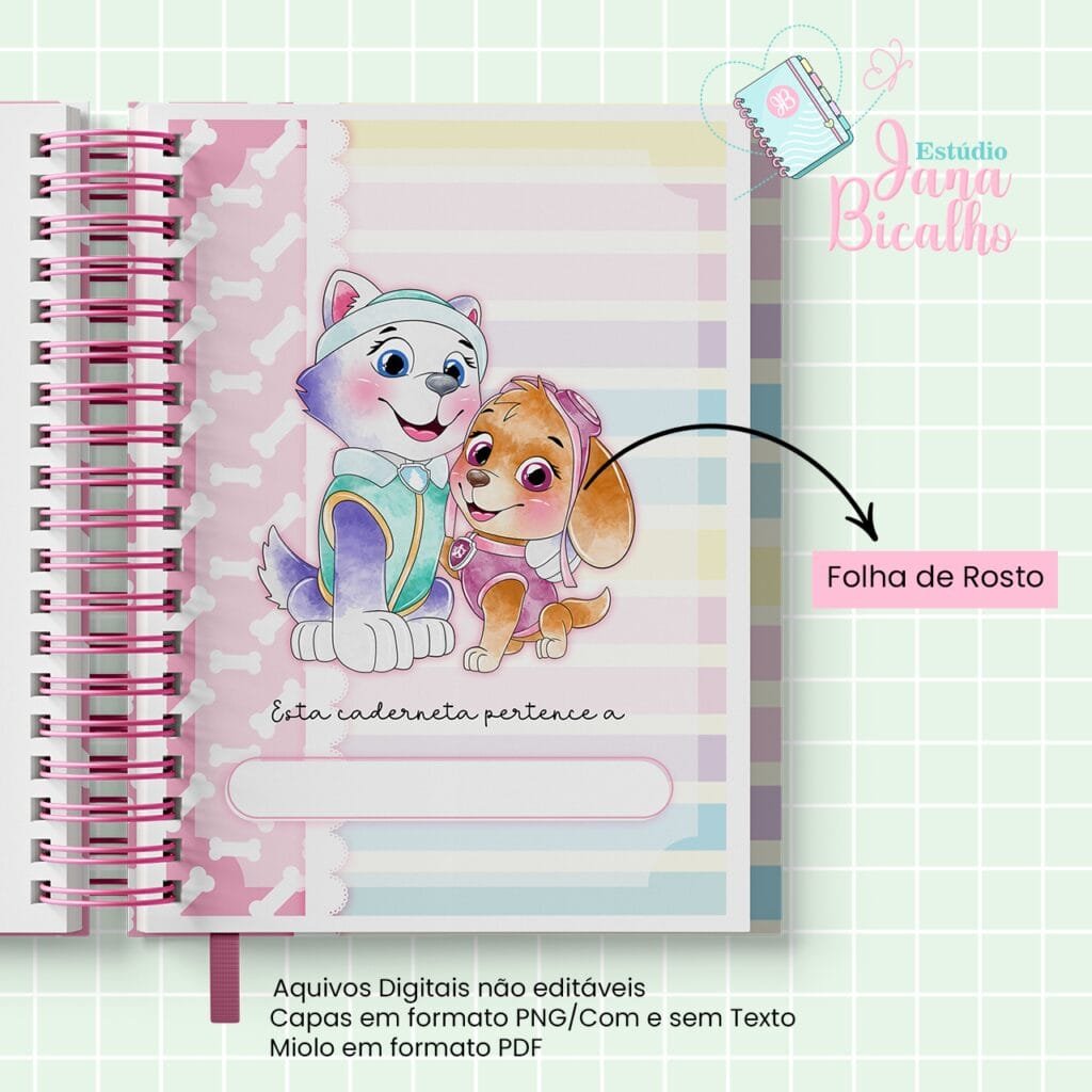 4 Kits Maternidade – Moana | Boneca | Patrulha Canina - Imagem 74