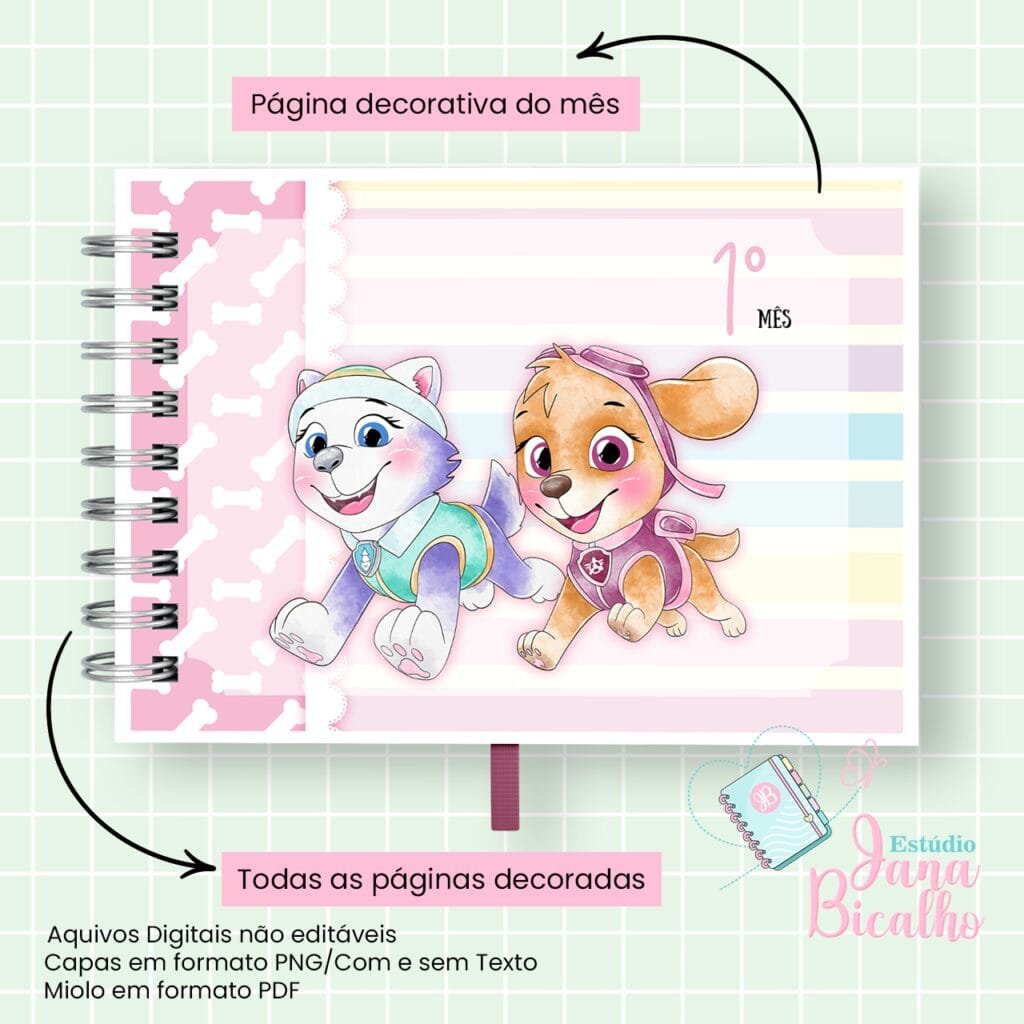 4 Kits Maternidade – Moana | Boneca | Patrulha Canina - Imagem 25