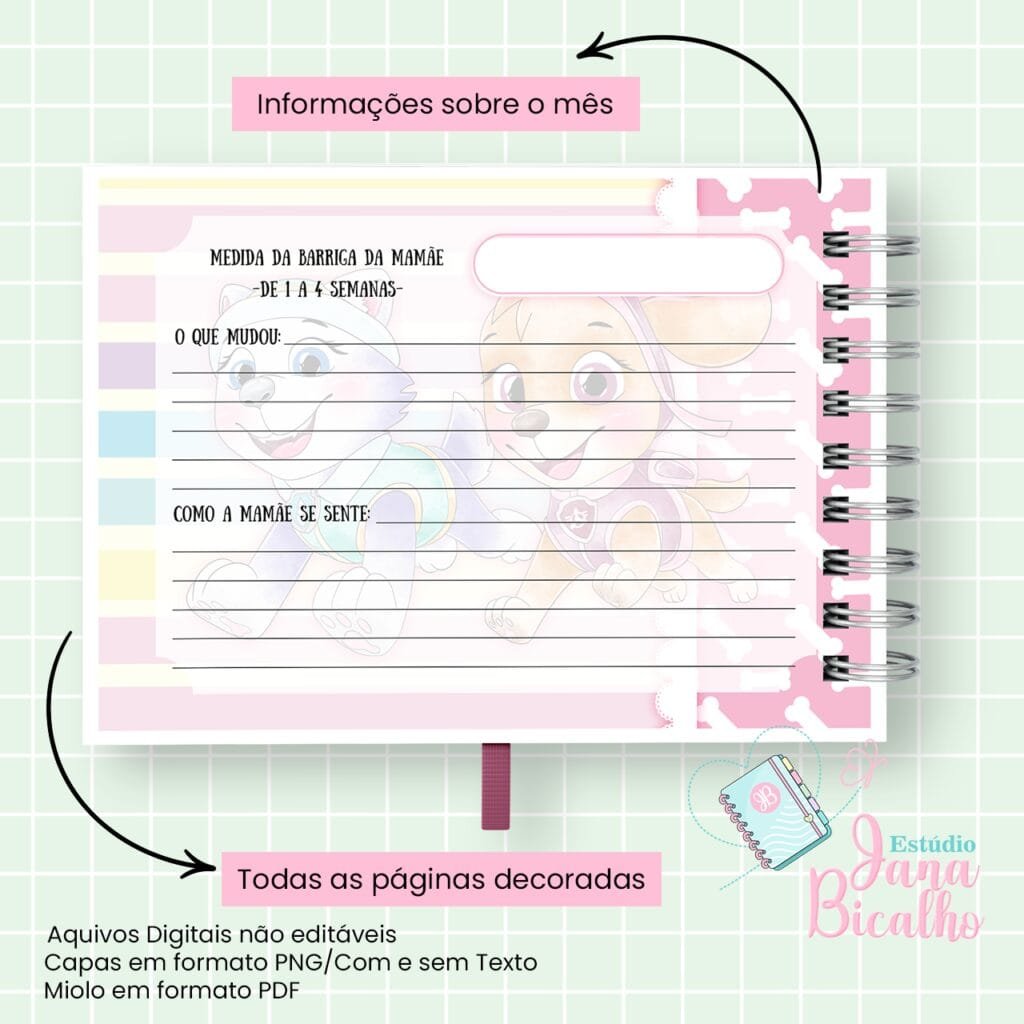 4 Kits Maternidade – Moana | Boneca | Patrulha Canina - Imagem 26