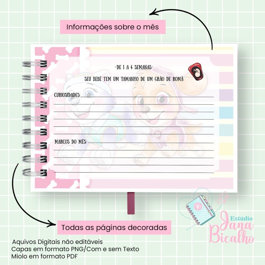 4 Kits Maternidade – Moana | Boneca | Patrulha Canina - Imagem 27