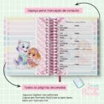 4 Kits Maternidade – Moana | Boneca | Patrulha Canina - Imagem 76