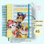 4 Kits Maternidade – Moana | Boneca | Patrulha Canina - Imagem 84