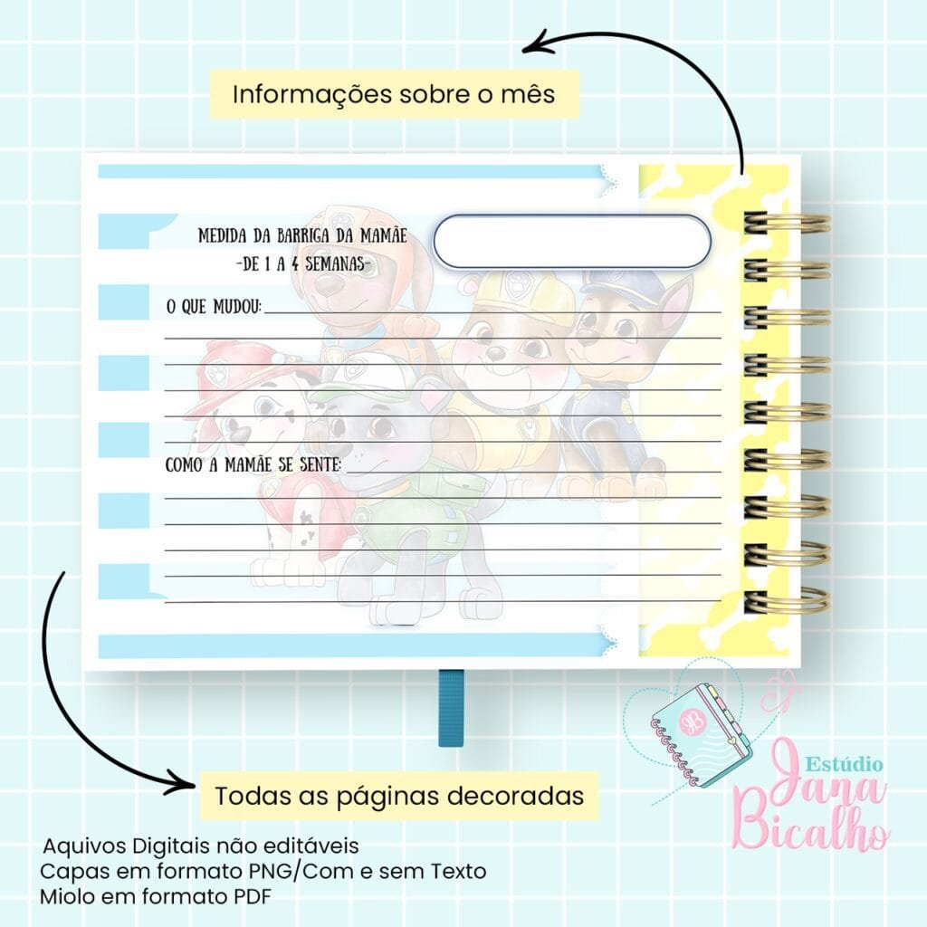 4 Kits Maternidade – Moana | Boneca | Patrulha Canina - Imagem 35