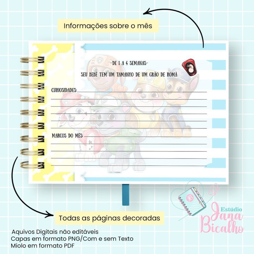 4 Kits Maternidade – Moana | Boneca | Patrulha Canina - Imagem 36