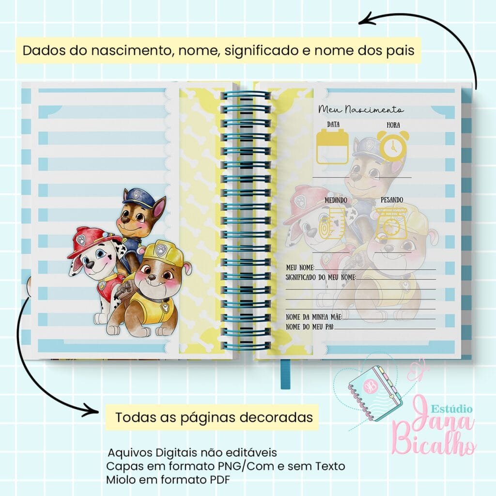 4 Kits Maternidade – Moana | Boneca | Patrulha Canina - Imagem 86