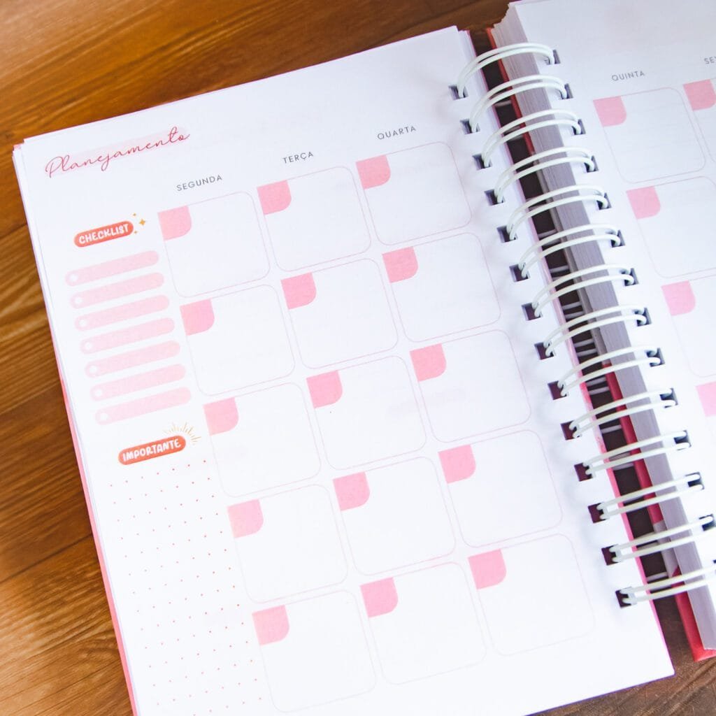 Combo Planner 2024 + Permanente Não Datado A5 – Col. Vagalume - Imagem 33