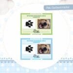 2 Combos Pet Cachorrinha | Cachorrinho - Encadernação (Pamella) - Imagem 24