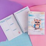 Planner dos Professores 2023 (Luma) - Imagem 14