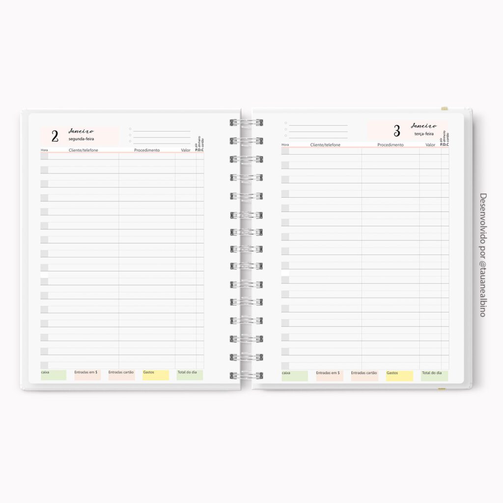 Miolo Agendamentos Estéticos 2024 (Mimimando) - Imagem 1