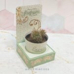 Porta Cactus - Professor (Kif)