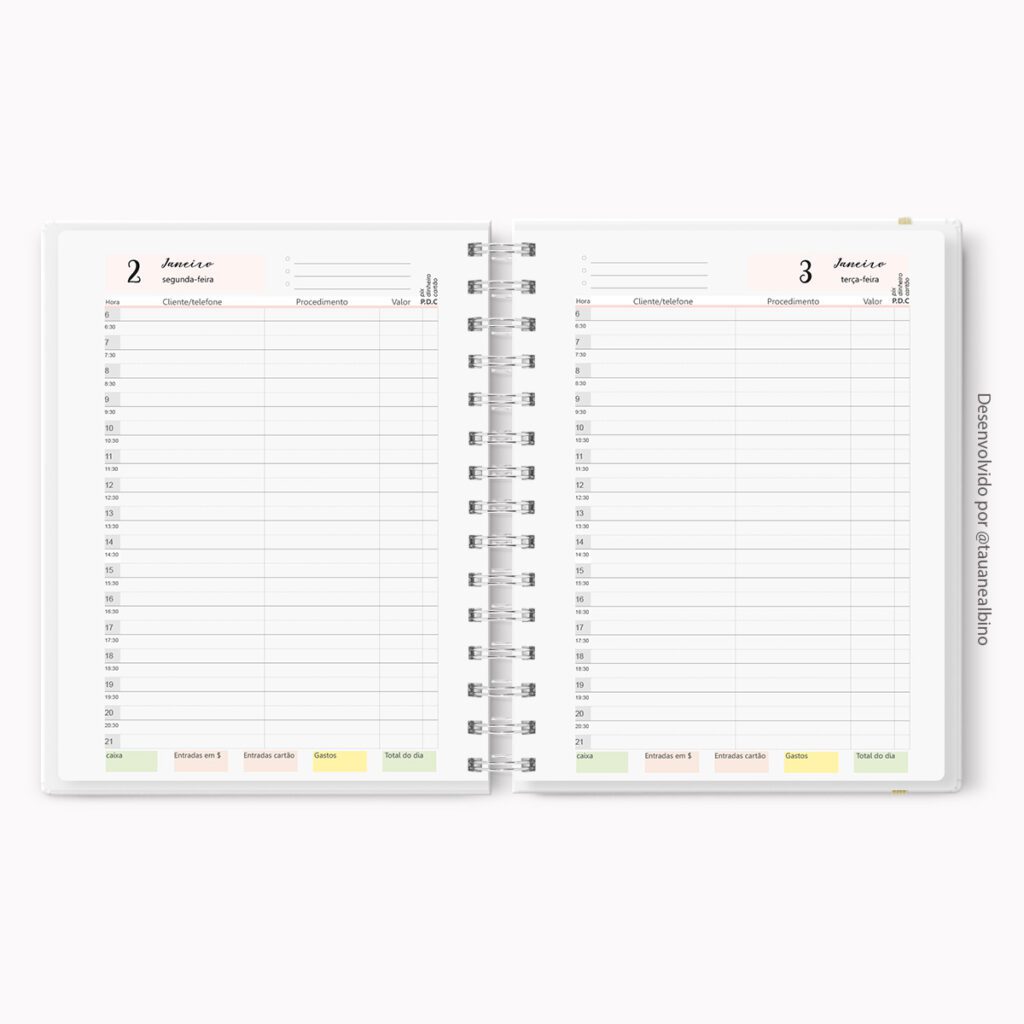 Miolo Agendamentos Estéticos 2024 (Mimimando) - Imagem 4