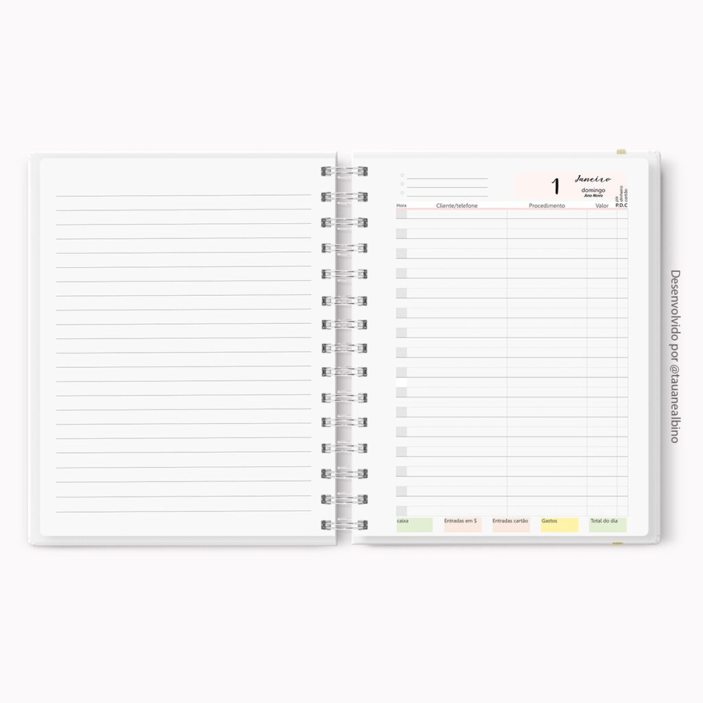 Miolo Agendamentos Estéticos 2024 (Mimimando) - Imagem 5