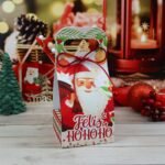 Kit Suculentas – Natal 2023 (Chuvinha de Papel) - Imagem 2