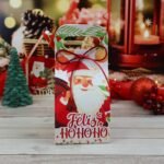 Kit Suculentas – Natal 2023 (Chuvinha de Papel) - Imagem 4