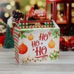 Kit Suculentas – Natal 2023 (Chuvinha de Papel) - Imagem 8