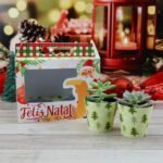 Kit Suculentas – Natal 2023 (Chuvinha de Papel) - Imagem 9