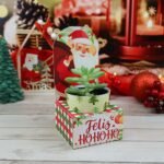 Kit Suculentas – Natal 2023 (Chuvinha de Papel) - Imagem 10