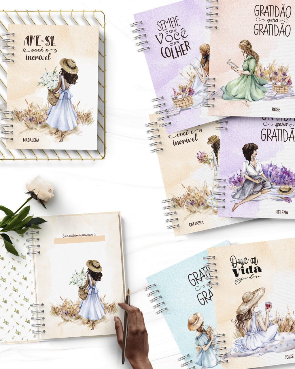 Combo Arquivos 11 Capas + 11 Miolos Decorados Coleção Picnic de Verão (Bicho Papel) - Imagem 1