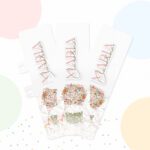 Kit Balão Menina - Volta às Aulas 2024 (Papel Amado) - Imagem 2