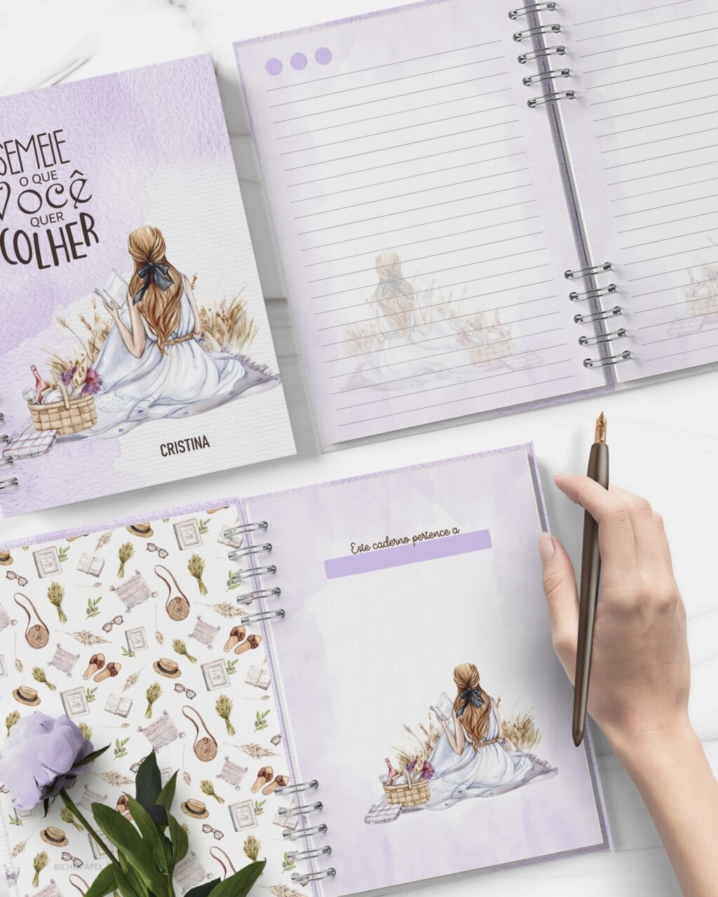 Combo Arquivos 11 Capas + 11 Miolos Decorados Coleção Picnic de Verão (Bicho Papel) - Imagem 5