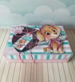 Caixa Mini Confeiteiro - Patrulha Canina Menina (Lina) - Imagem 3
