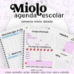 Miolo Escolar Datado 2024