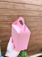 Molde Caixa - Maleta Média (Ilustracin) - Imagem 4