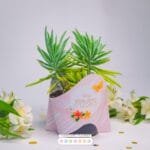 Coleção Mães Essencial (Amarantto) - Imagem 10