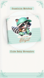 Guaxinim Motoboy - Kit Maternidade - Imagem 7