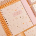 COMBO Coleção Diário de Oração (Papel Amado)