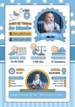 COMBO Quadro Fotos - Nascimento em PSD