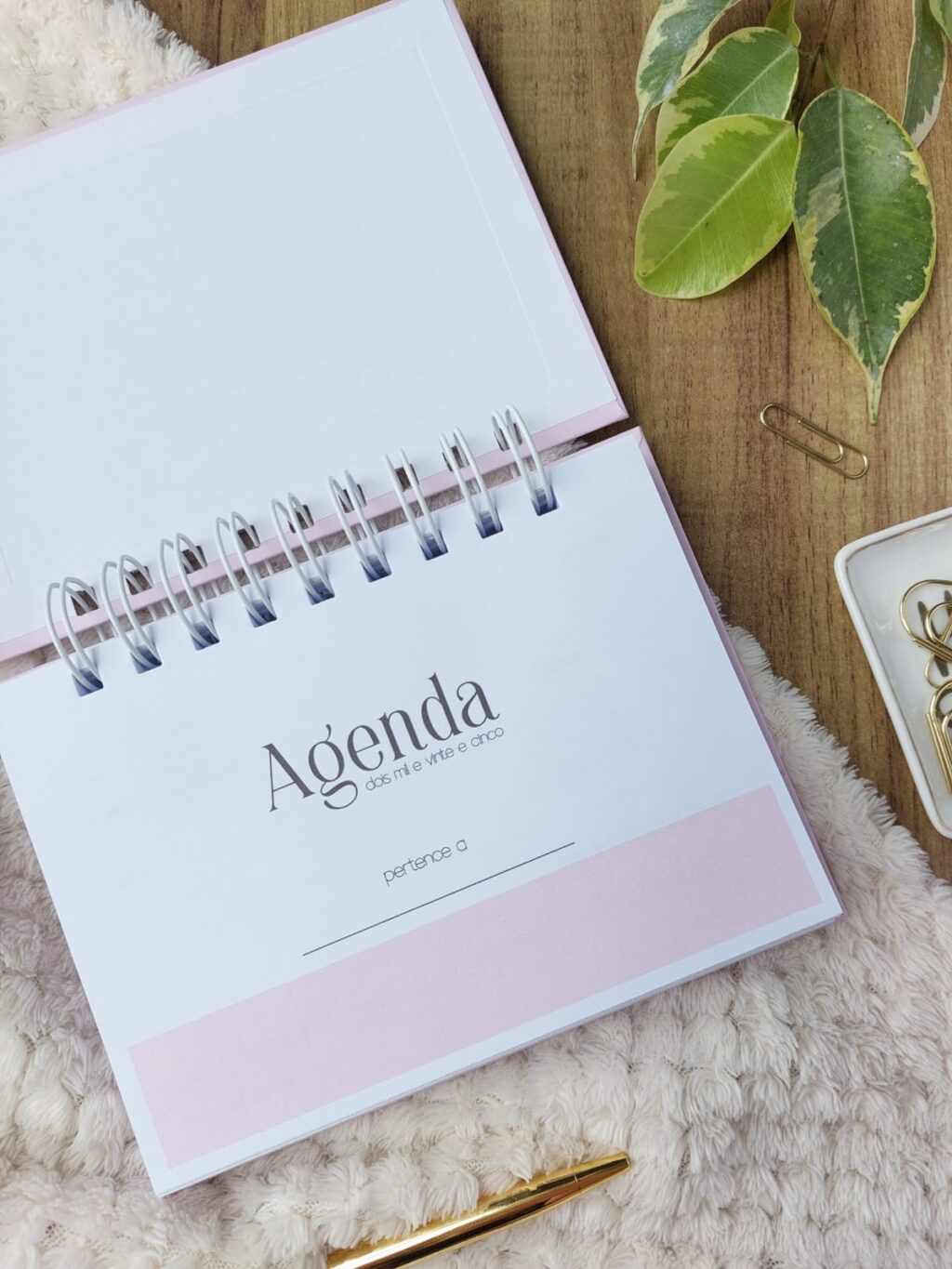 Coleção Harmonia 2025 - Mini Agenda 2025 (Marta Irkiu) - Imagem 4