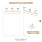 COMBO 2025 Bege (Criativa Afetiva) - Imagem 10