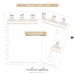 COMBO 2025 Bege (Criativa Afetiva) - Imagem 15