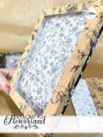 FlowerLand - Caixa Midori Festita (Tita) - Imagem 2