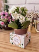 MIMOS PARA CLIENTES – Embalagens de Luxo (Ilustracin) - Imagem 11