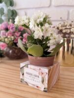 MIMOS PARA CLIENTES – Embalagens de Luxo (Ilustracin) - Imagem 10