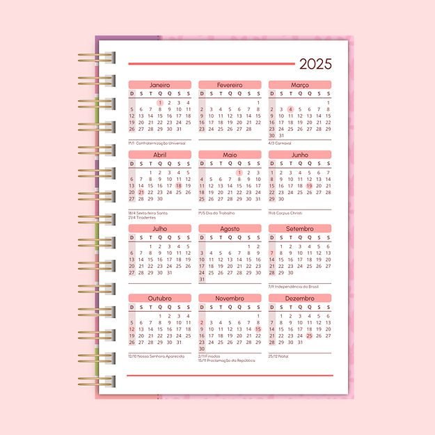 Calendário A5 - 2025 (frente) e 2026 (verso) - 7 tons - Wire-o/Espiral (Telma Contel) - Imagem 1